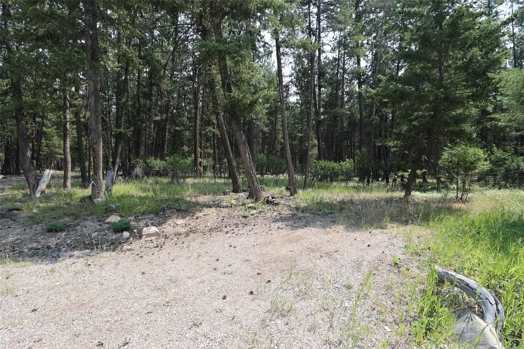 40 Old Cedar Creek Road Plains MT 59859