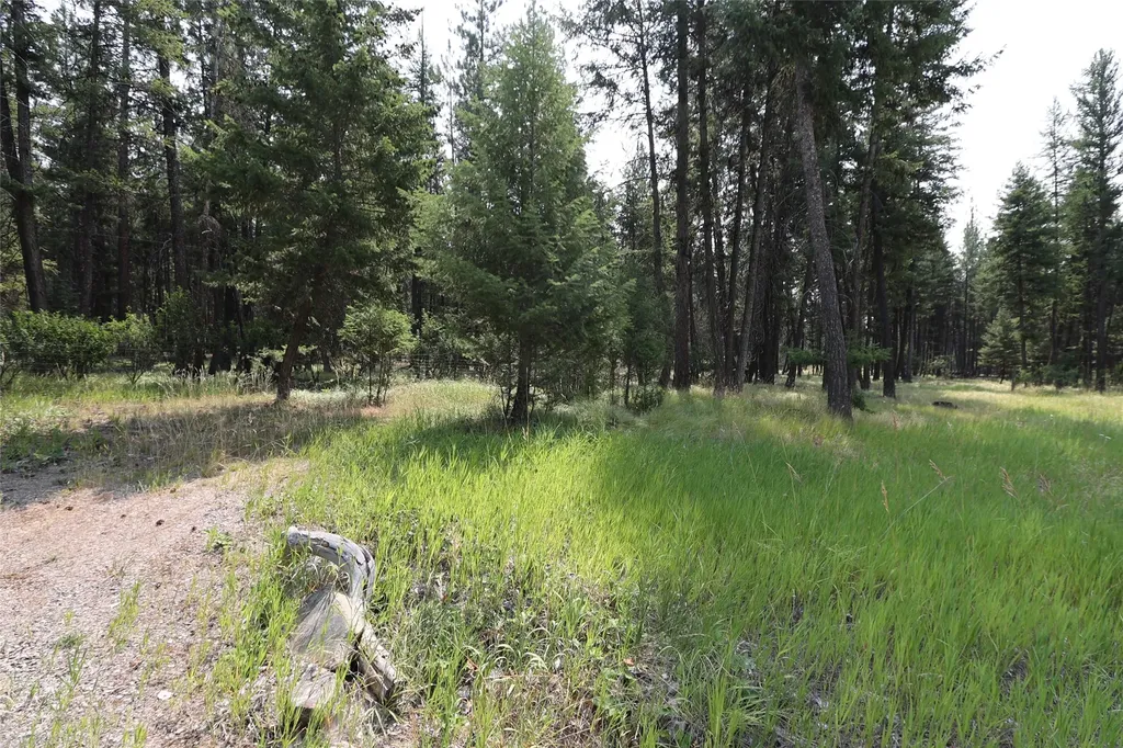 40 Old Cedar Creek Road Plains MT 59859