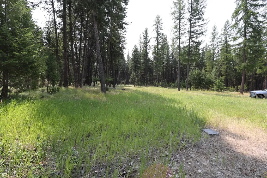 40 Old Cedar Creek Road Plains MT 59859