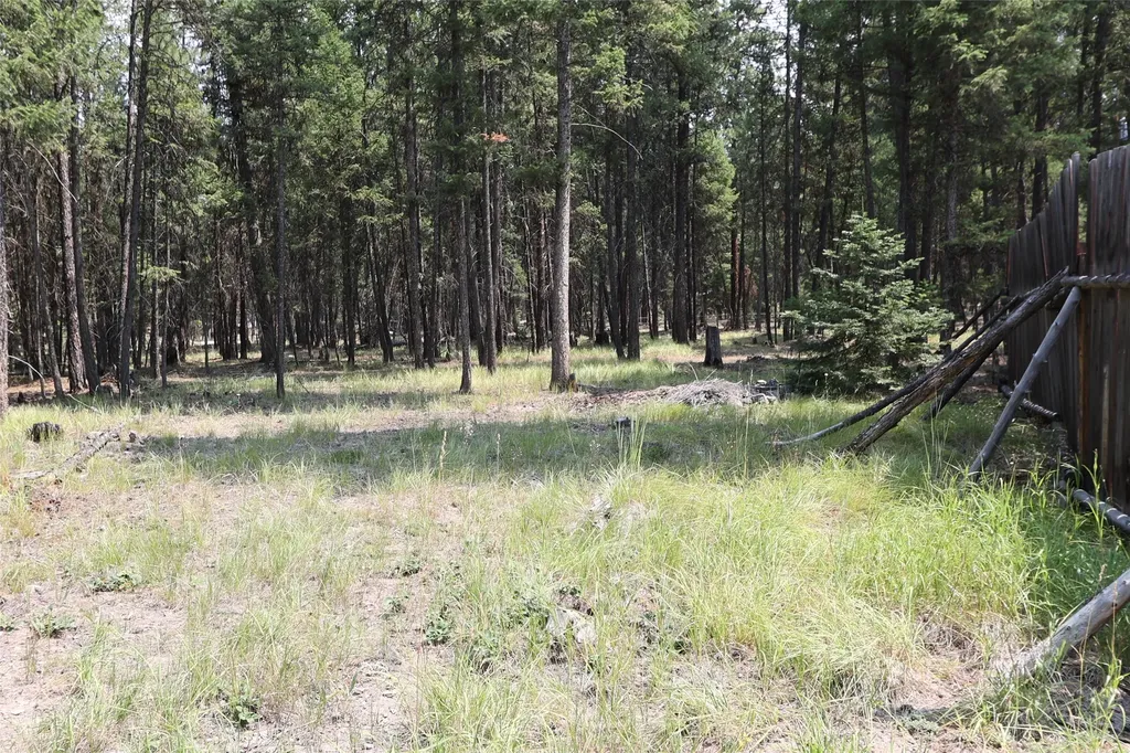 40 Old Cedar Creek Road Plains MT 59859