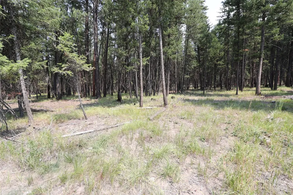 40 Old Cedar Creek Road Plains MT 59859