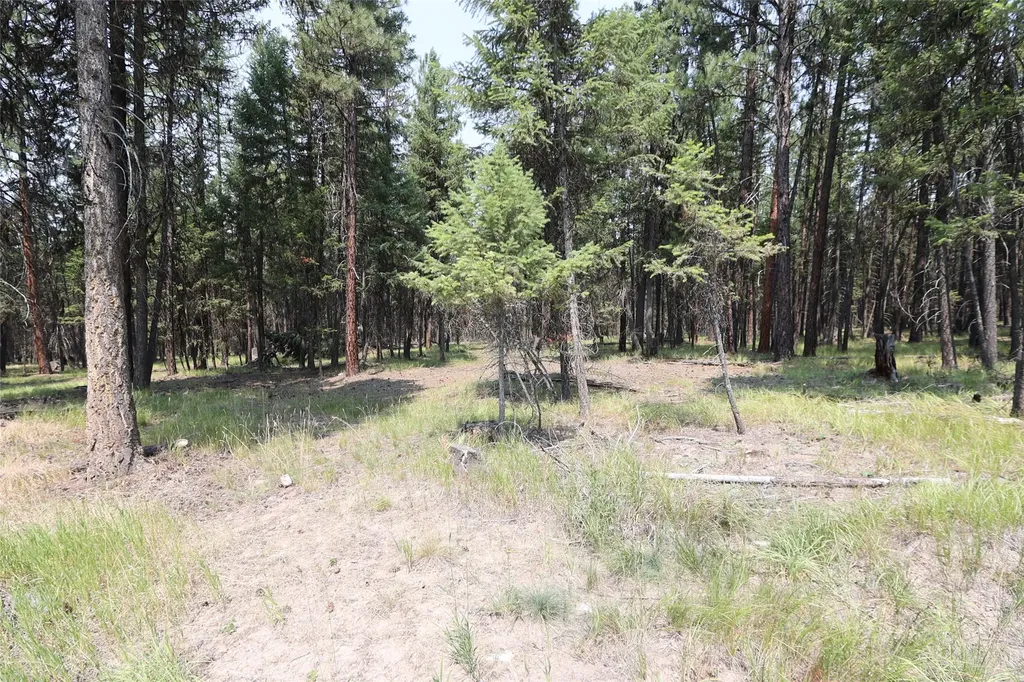40 Old Cedar Creek Road Plains MT 59859