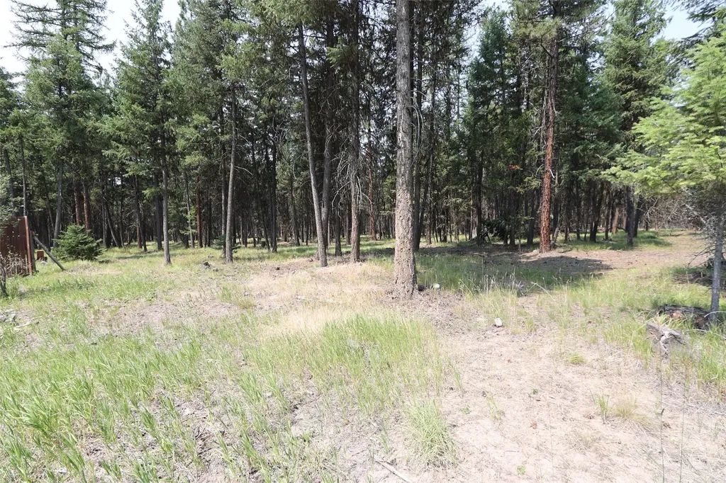 40 Old Cedar Creek Road Plains MT 59859