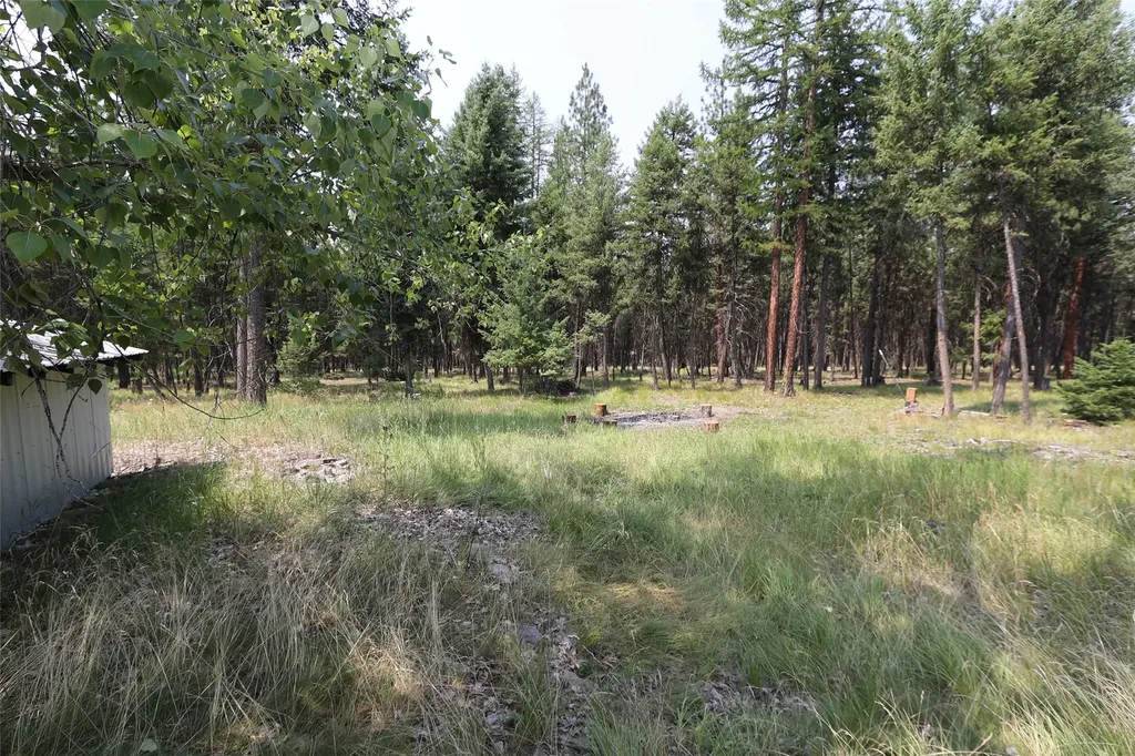 40 Old Cedar Creek Road Plains MT 59859