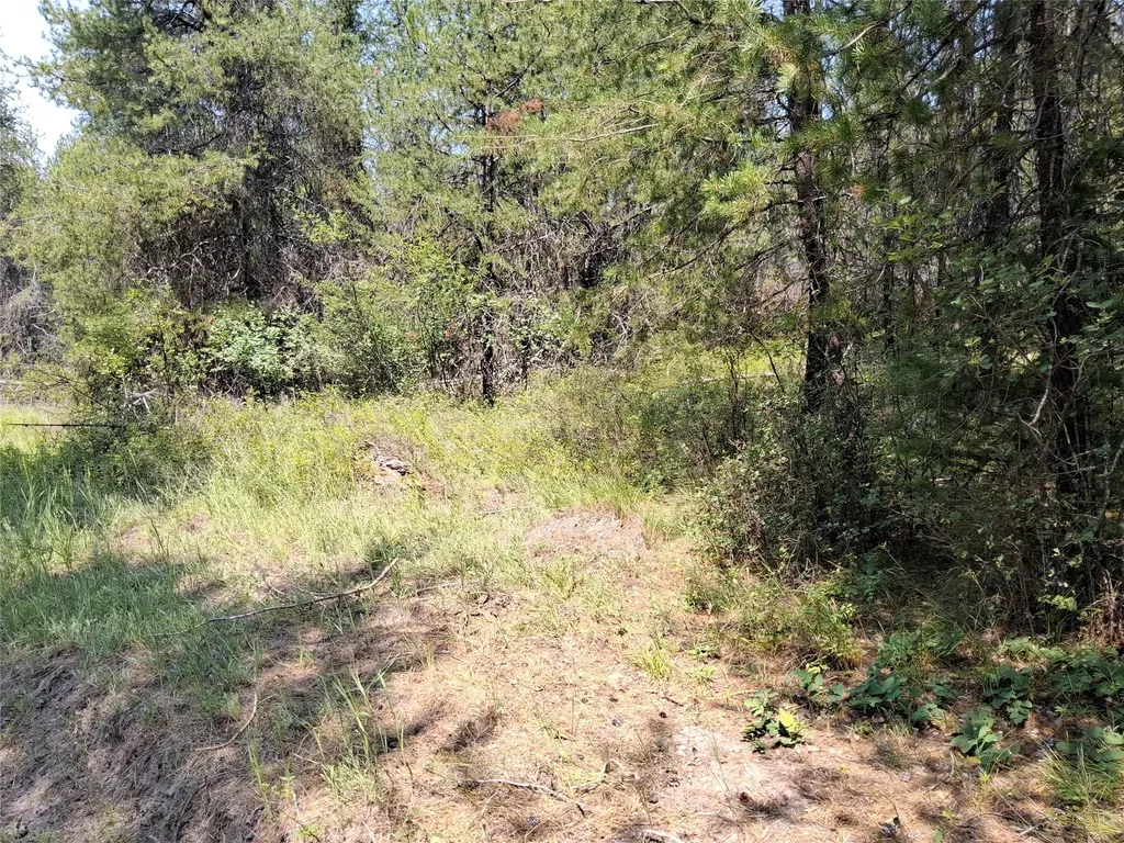 Nhn Sharon Way St Regis MT 59866