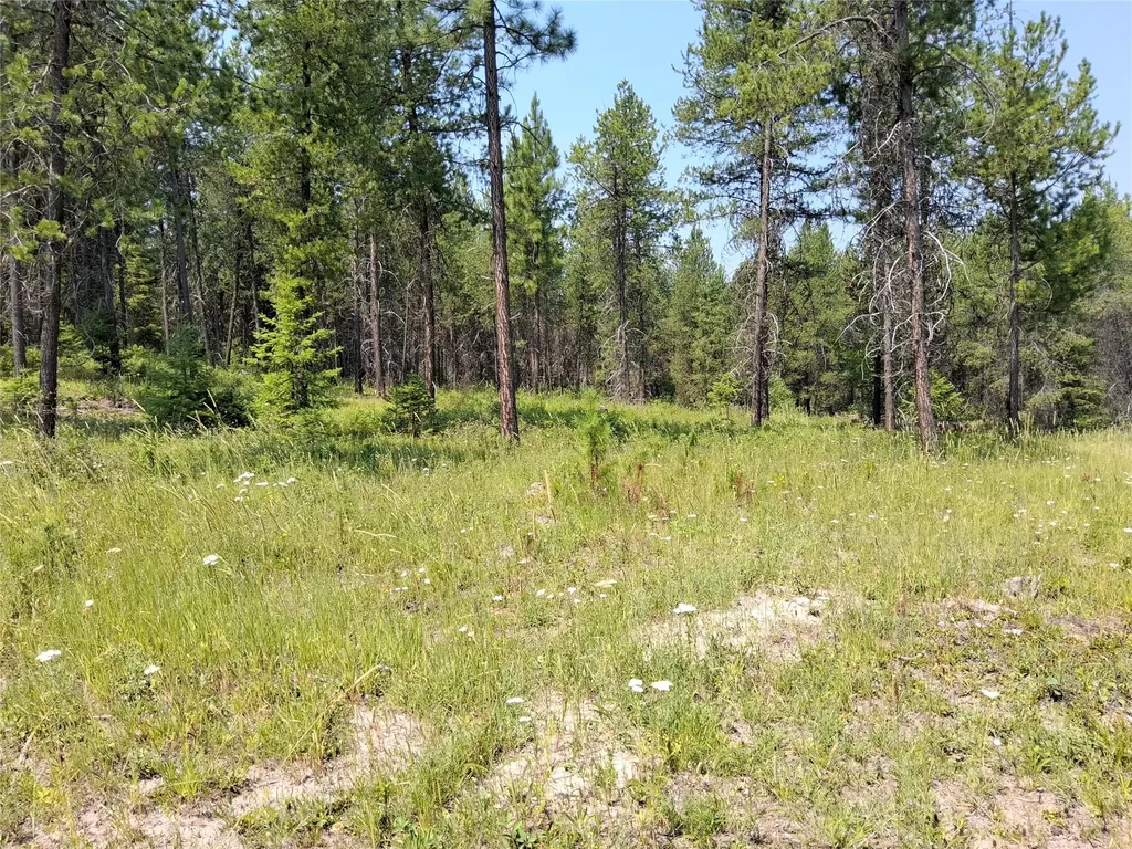Nhn Sharon Way St Regis MT 59866