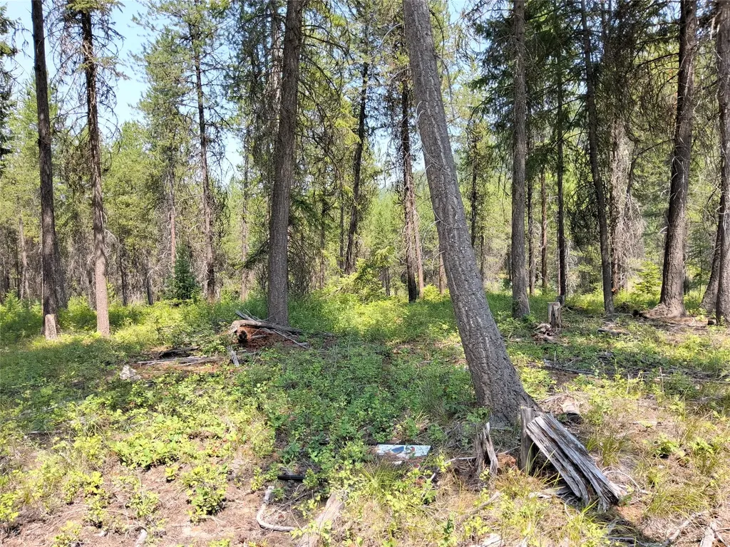 Nhn Sharon Way St Regis MT 59866