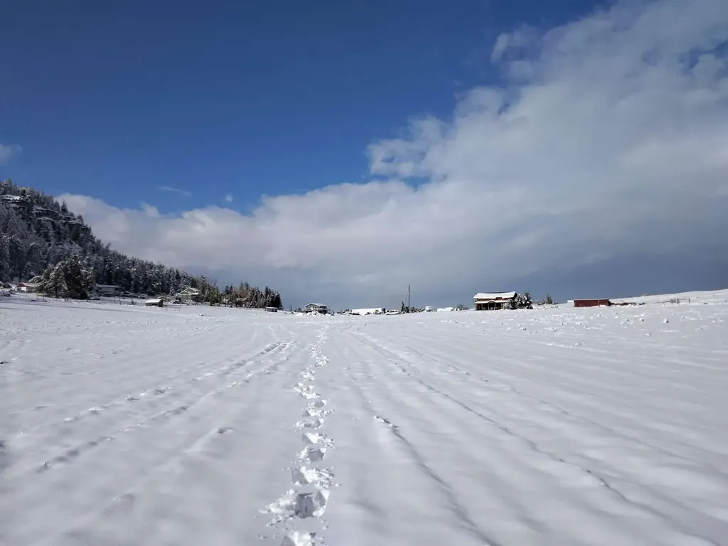 541 Valley View Drive Kalispell MT 59901