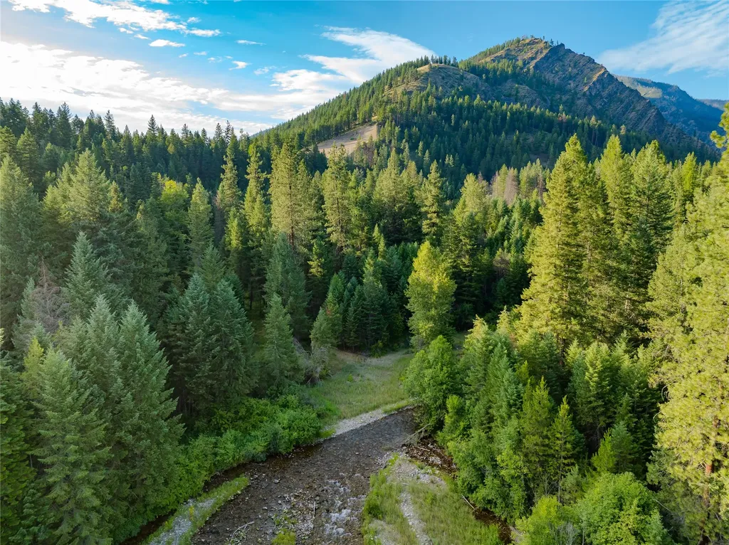82 Graves Creek Road Thompson Falls MT 59873