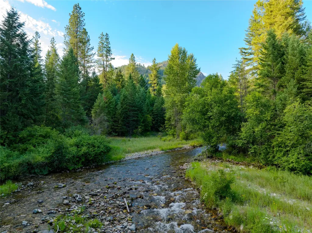 82 Graves Creek Road Thompson Falls MT 59873