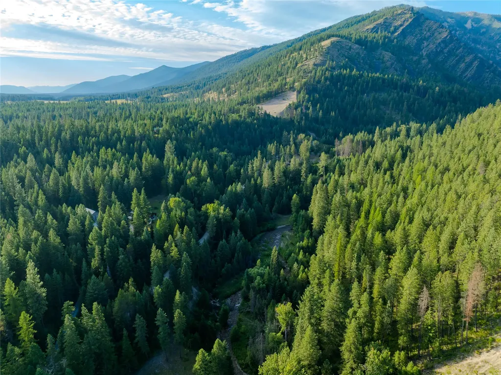 82 Graves Creek Road Thompson Falls MT 59873