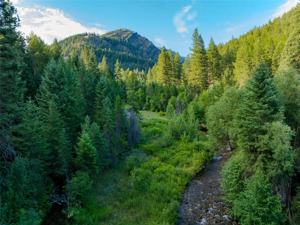 82 Graves Creek Road Thompson Falls MT 59873