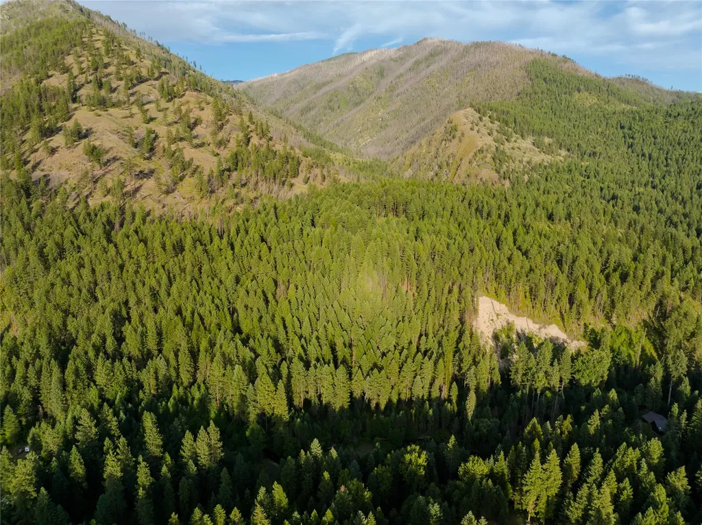 82 Graves Creek Road Thompson Falls MT 59873