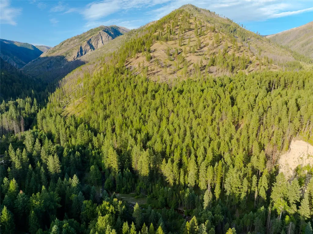 82 Graves Creek Road Thompson Falls MT 59873