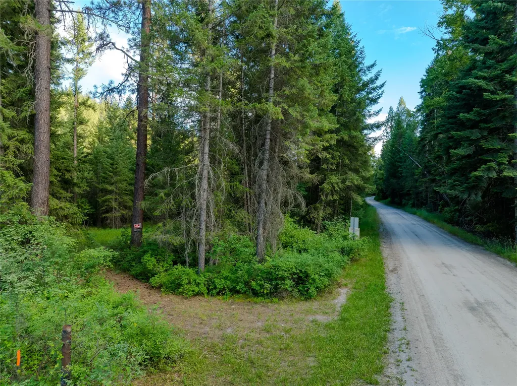 82 Graves Creek Road Thompson Falls MT 59873