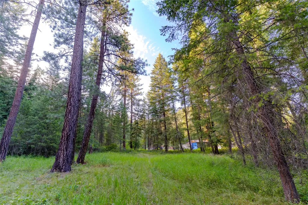 82 Graves Creek Road Thompson Falls MT 59873