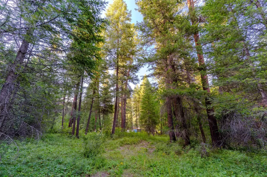 82 Graves Creek Road Thompson Falls MT 59873