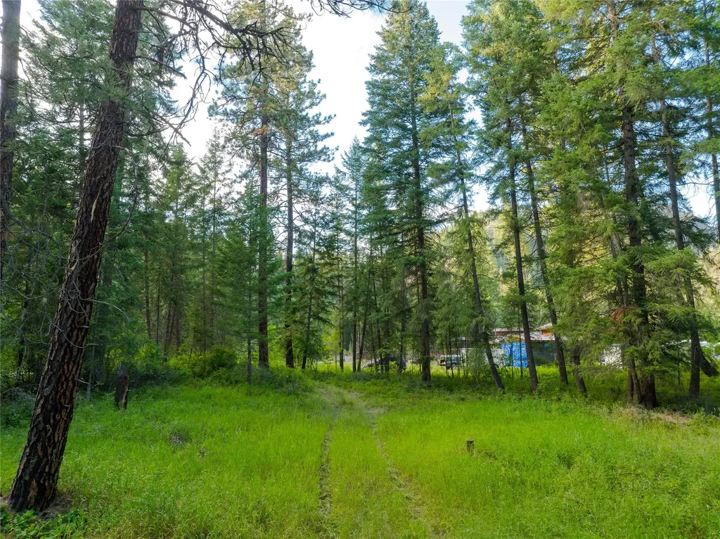 82 Graves Creek Road Thompson Falls MT 59873
