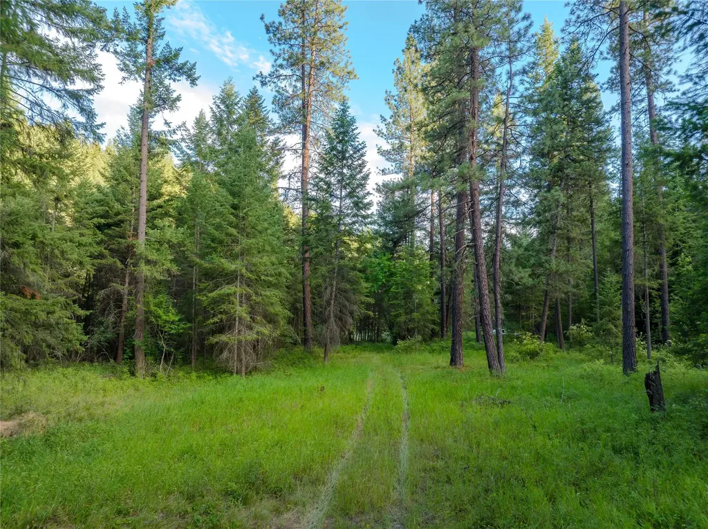 82 Graves Creek Road Thompson Falls MT 59873
