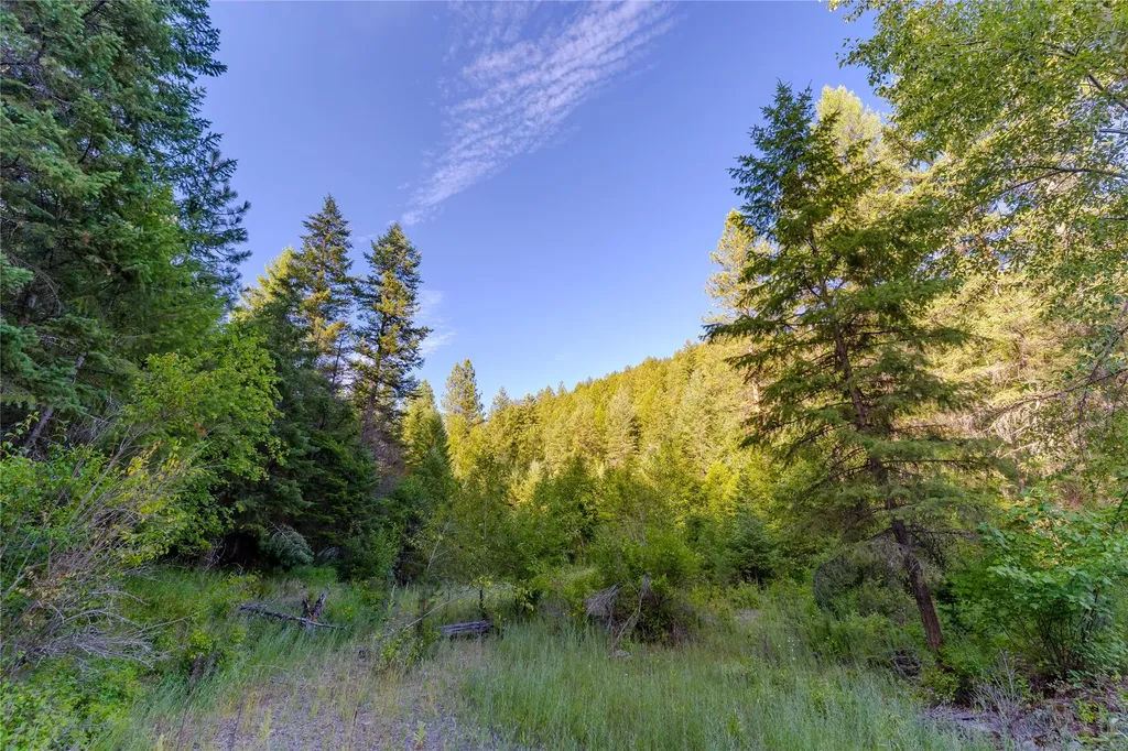 82 Graves Creek Road Thompson Falls MT 59873
