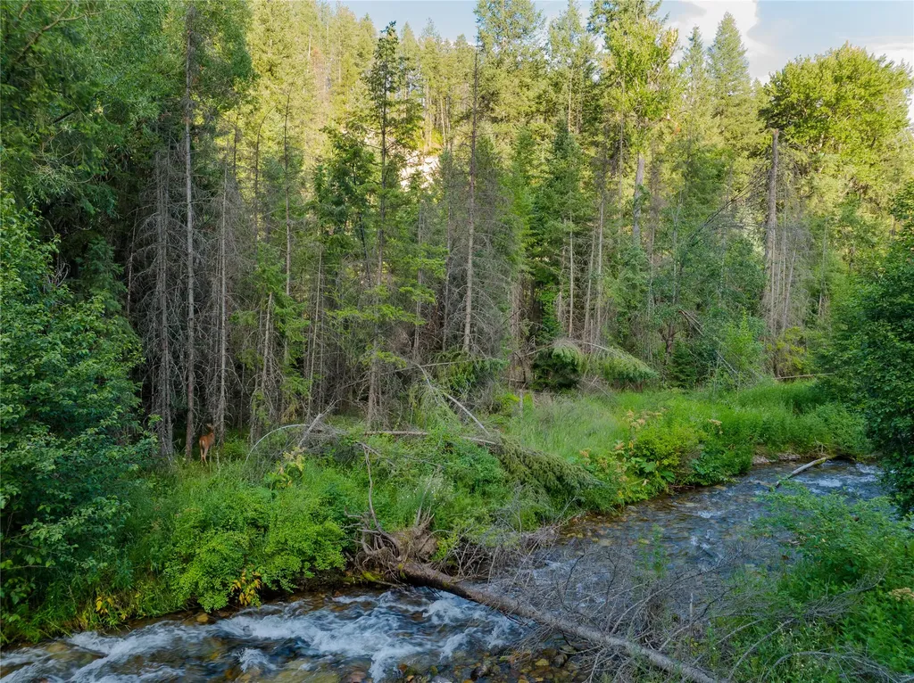 82 Graves Creek Road Thompson Falls MT 59873