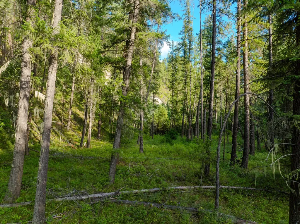 82 Graves Creek Road Thompson Falls MT 59873