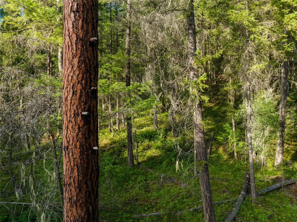 82 Graves Creek Road Thompson Falls MT 59873