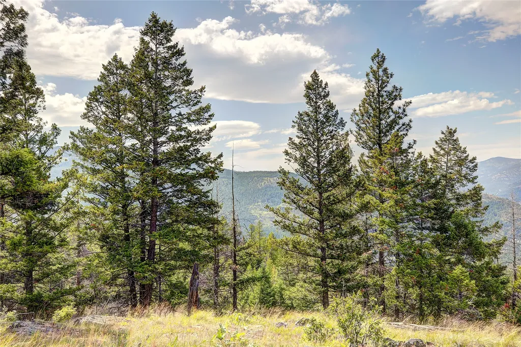 440 High Ridge Trail Kila MT 59920