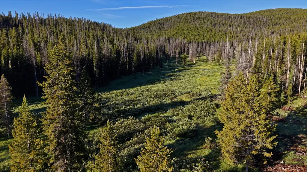 Tbd Highway 43 Wisdom MT 59761