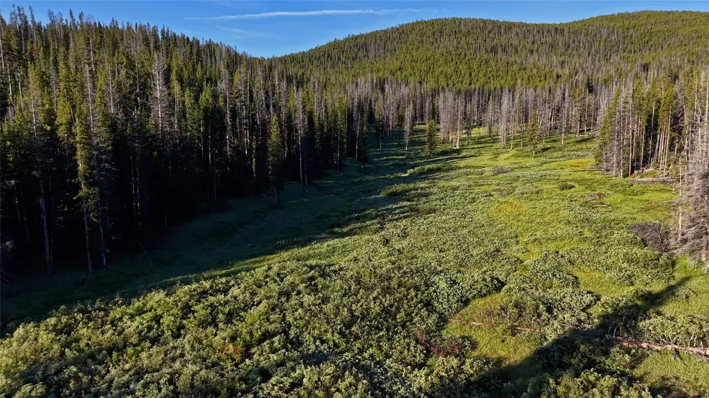 Tbd Highway 43 Wisdom MT 59761