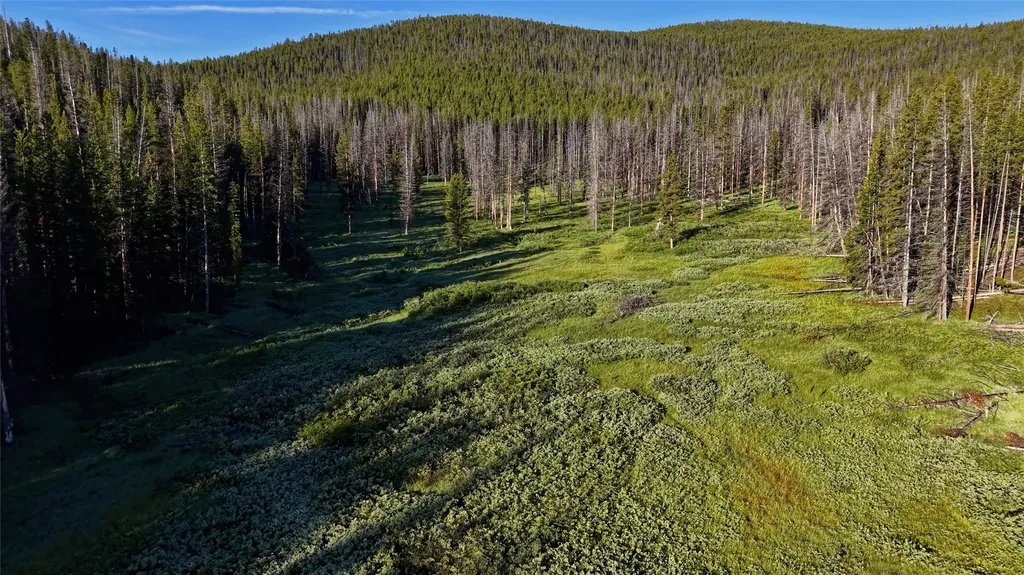Tbd Highway 43 Wisdom MT 59761