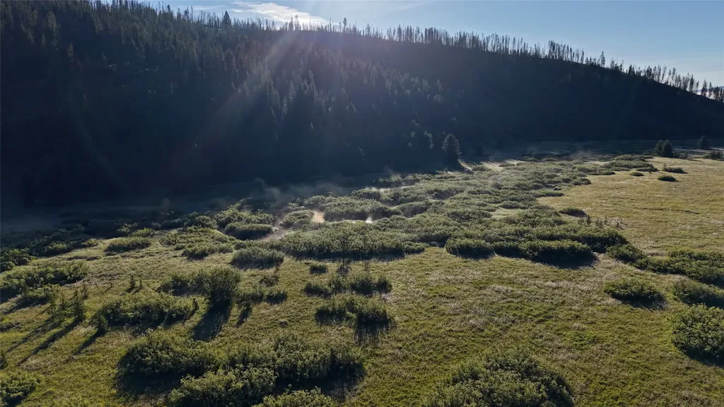 Tbd Highway 43 Wisdom MT 59761