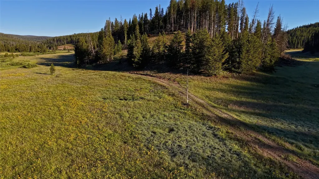 Tbd Highway 43 Wisdom MT 59761