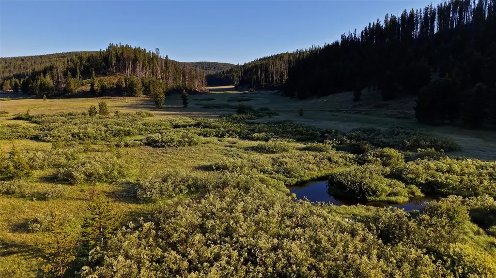 Tbd Highway 43 Wisdom MT 59761