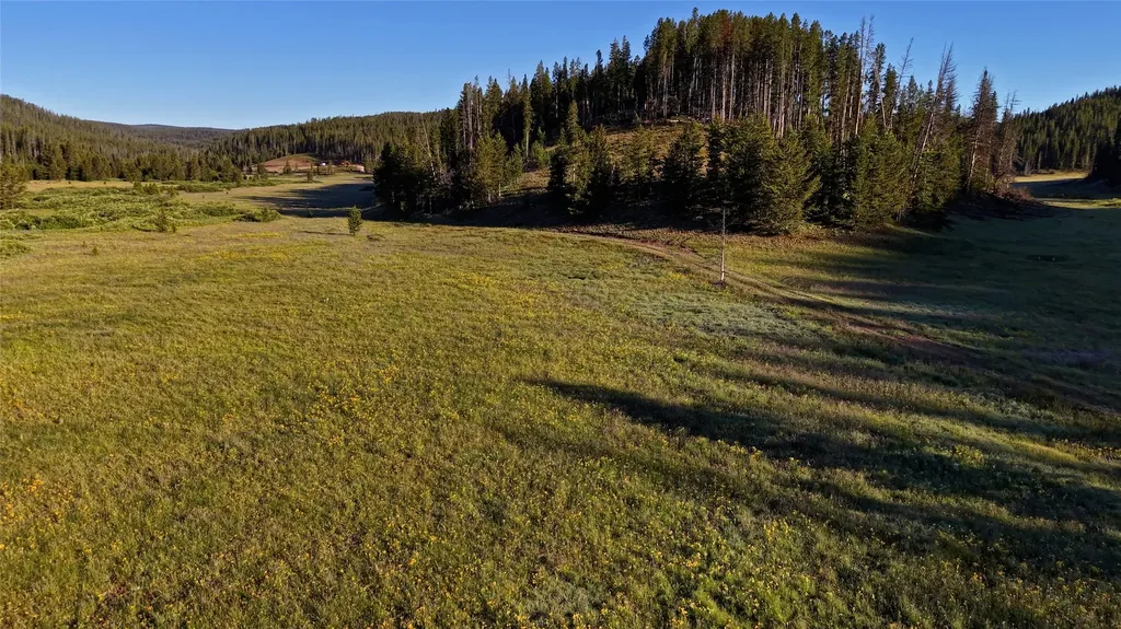 Tbd Highway 43 Wisdom MT 59761
