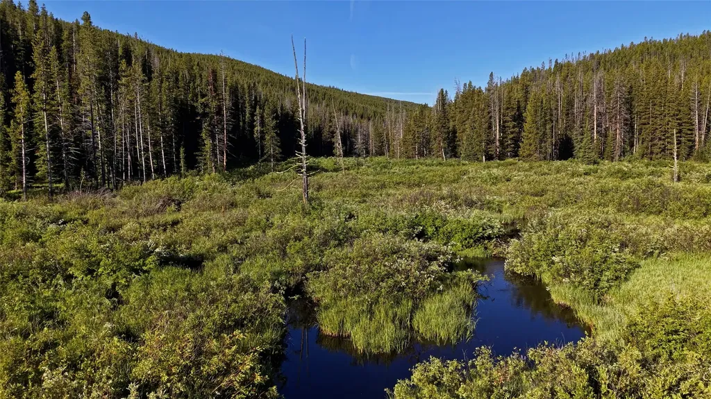 Tbd Highway 43 Wisdom MT 59761