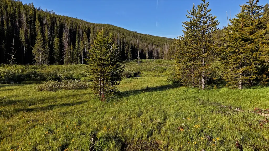 Tbd Highway 43 Wisdom MT 59761