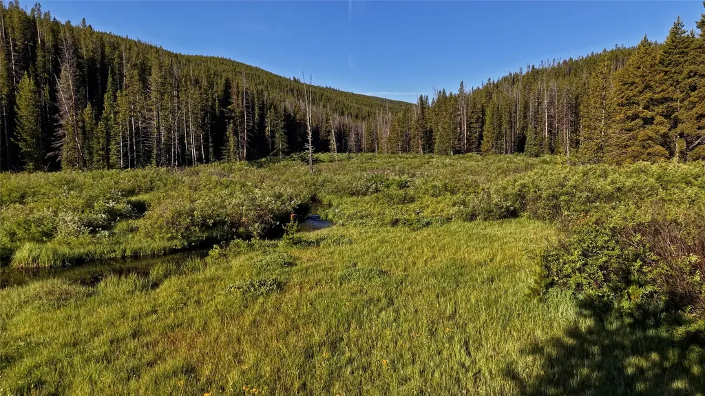 Tbd Highway 43 Wisdom MT 59761
