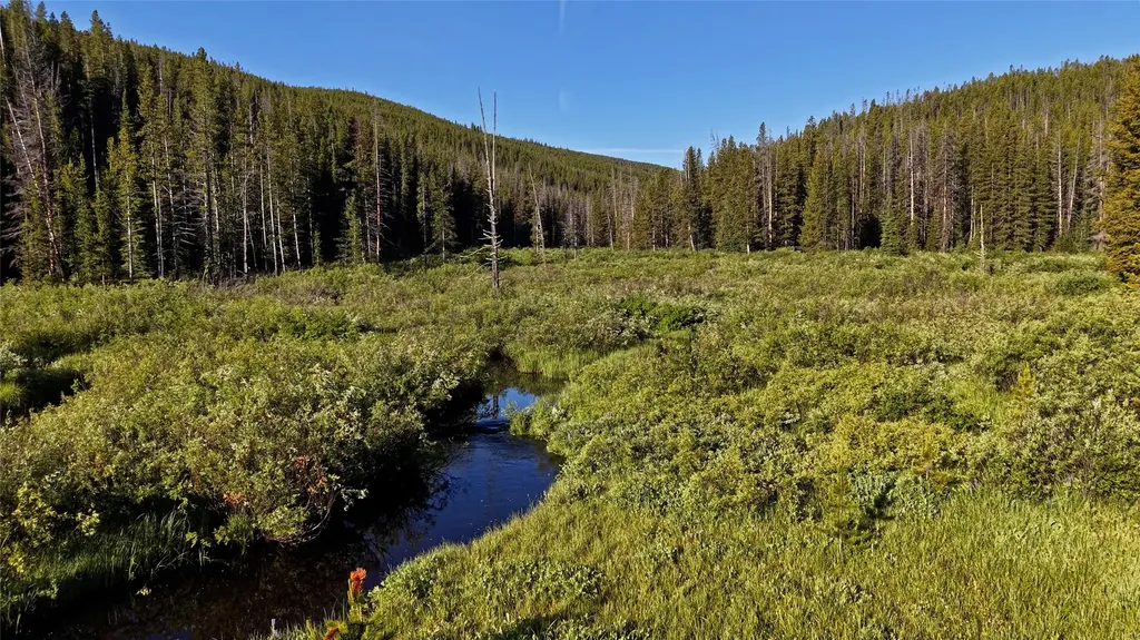 Tbd Highway 43 Wisdom MT 59761