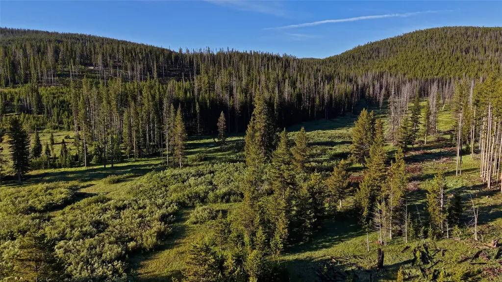 Tbd Highway 43 Wisdom MT 59761