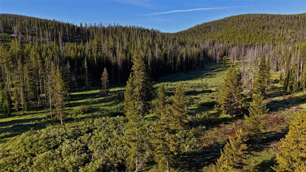 Tbd Highway 43 Wisdom MT 59761