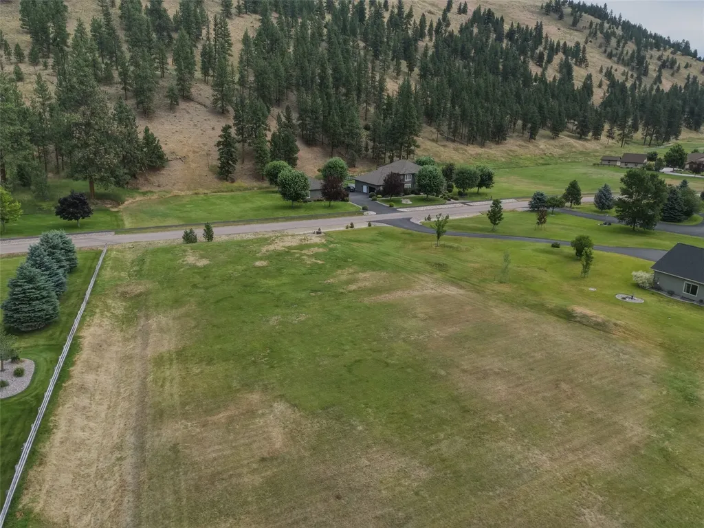 12196 Cowcatcher Drive Lolo MT 59847