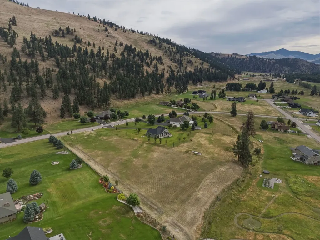 12196 Cowcatcher Drive Lolo MT 59847