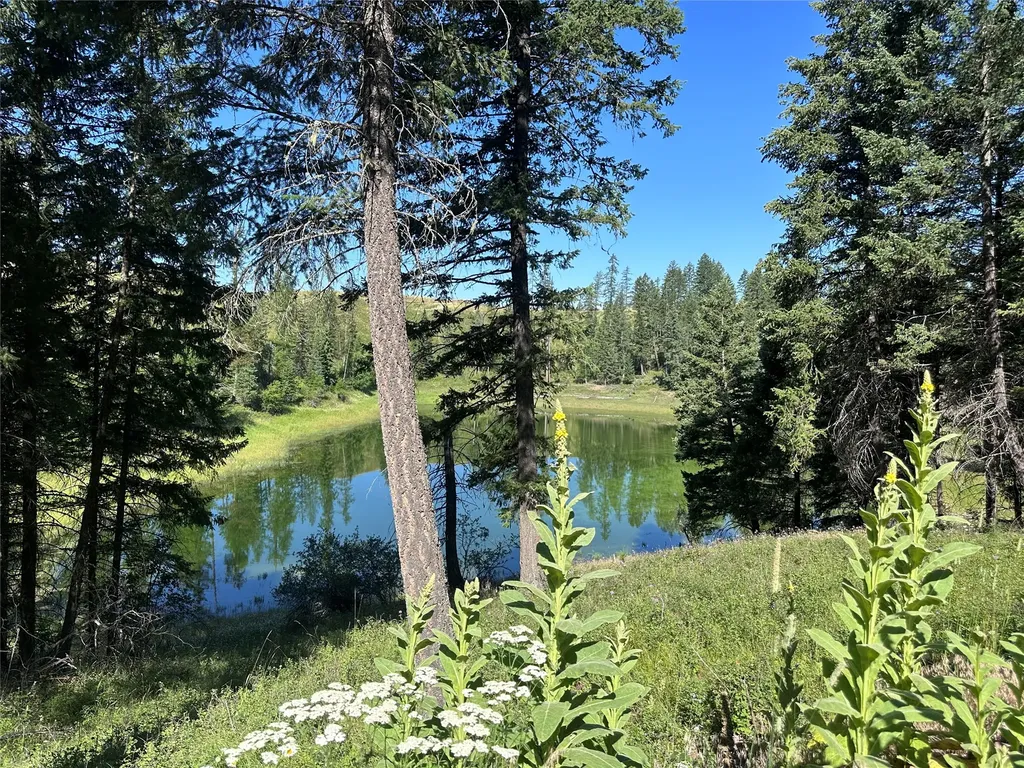 196 Belterra Lane Bigfork MT 59911