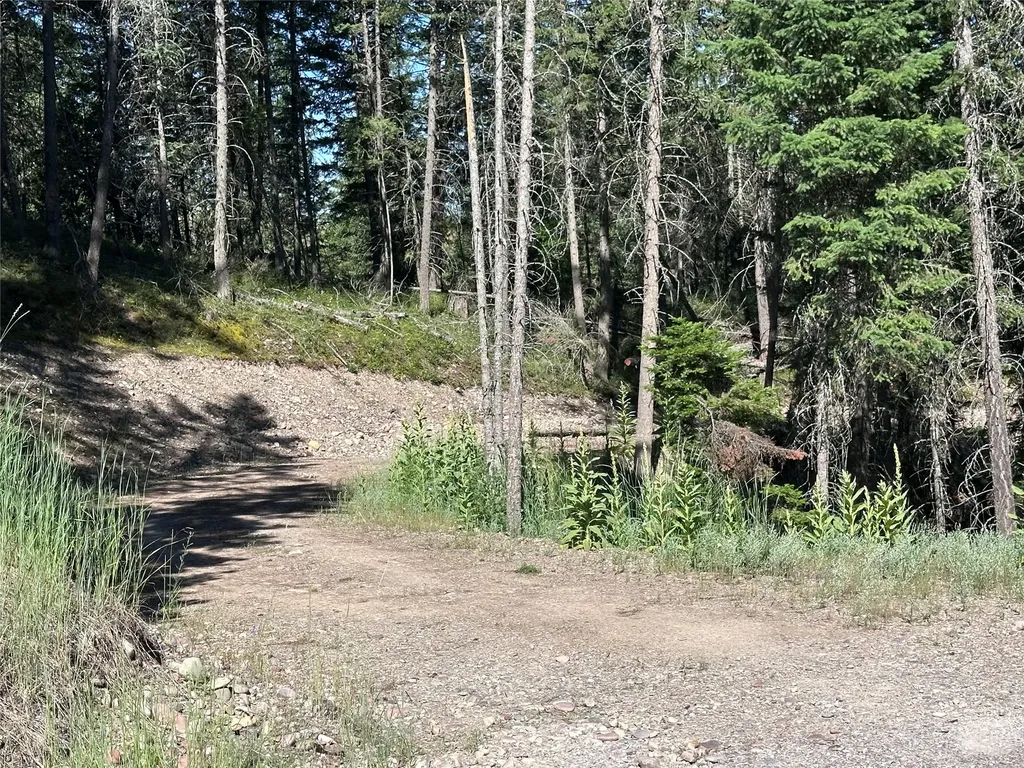 196 Belterra Lane Bigfork MT 59911