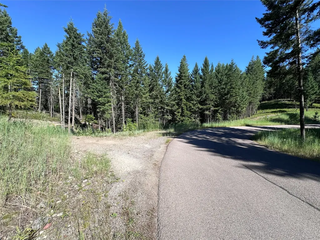 196 Belterra Lane Bigfork MT 59911