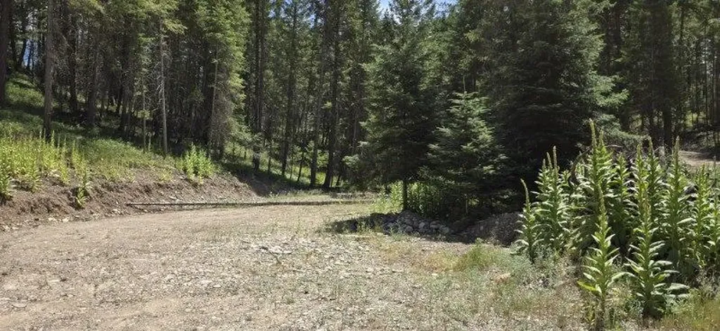 196 Belterra Lane Bigfork MT 59911