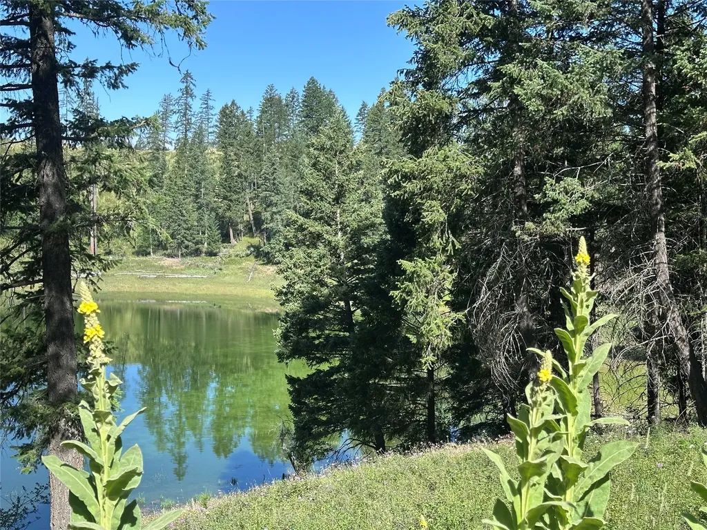 196 Belterra Lane Bigfork MT 59911