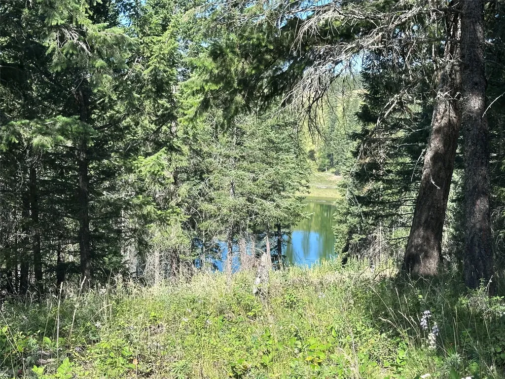 196 Belterra Lane Bigfork MT 59911