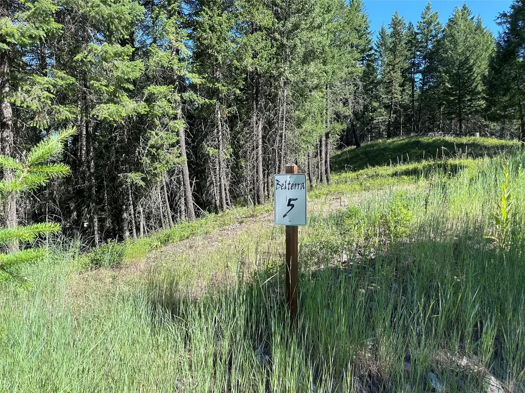 196 Belterra Lane Bigfork MT 59911